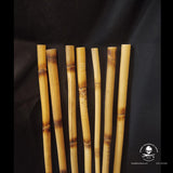 Wicked Twisted Wizard Staffs