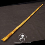 The Lip Grip Whip Stick - KIL Guava - Fine Art Finish