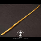 The Lip Grip Whip Stick - KIL Guava - Fine Art Finish