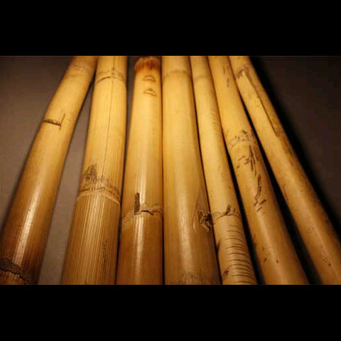 Rattan Ugly Sticks (10 individual sticks)