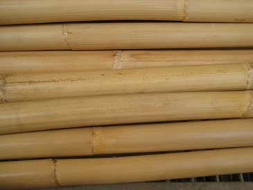 Student Sticks (20 sticks, raw rattan)